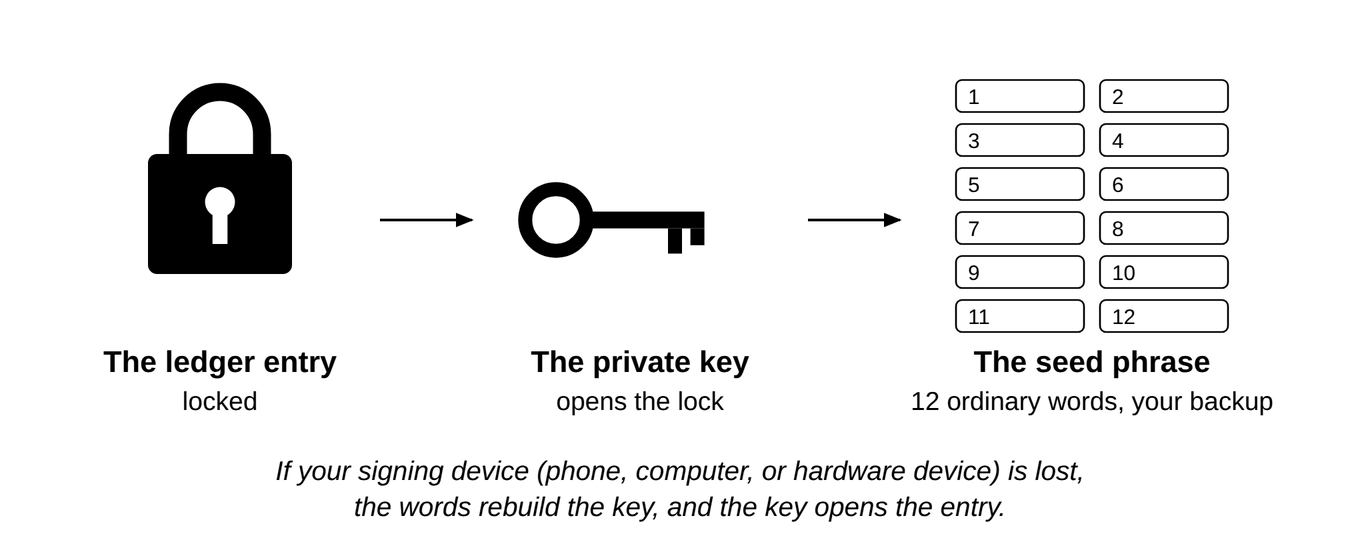 One ledger entry as a padlock, one private key that fits it, and a list of 12 or 24 plain words, the seed phrase, that can rebuild that key if your signing device (a phone, a computer, or a hardware device) is lost, which is why Chapter 10 will spend so long on those words.